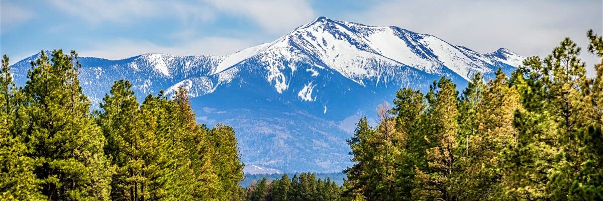davidghirken's profile banner image