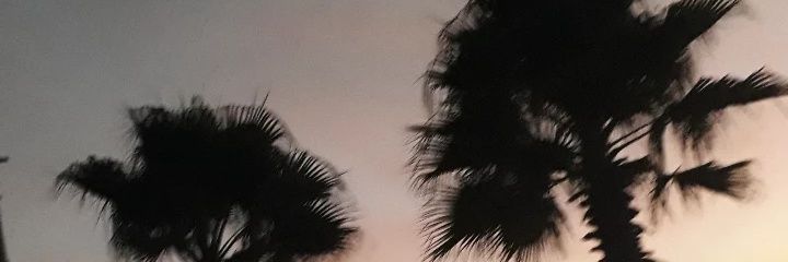 OpsAany's profile banner image