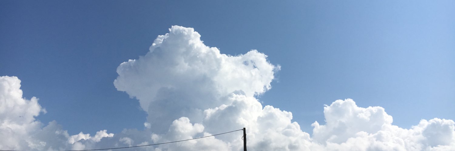 s. banner
