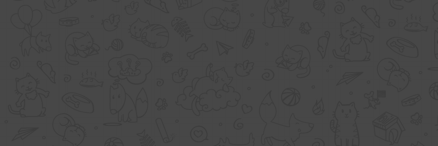 telegram_indo's profile banner image