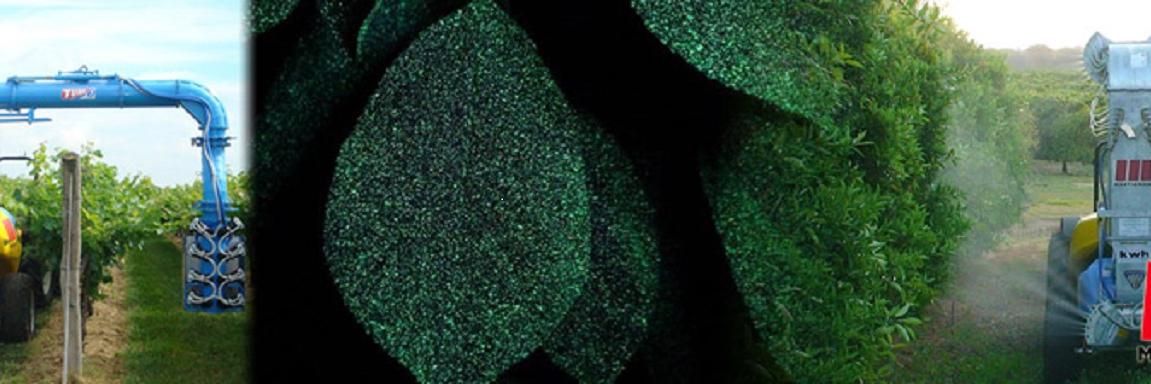 MartignaniSrl's profile banner image