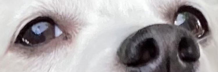 manoftheforest7's profile banner image