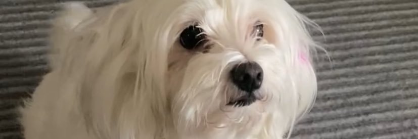 enhngvnd's profile banner image