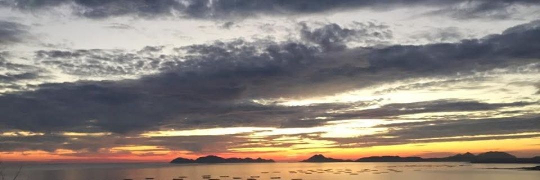 iagobrou's profile banner image