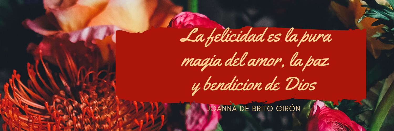 joannadebritog's profile banner image