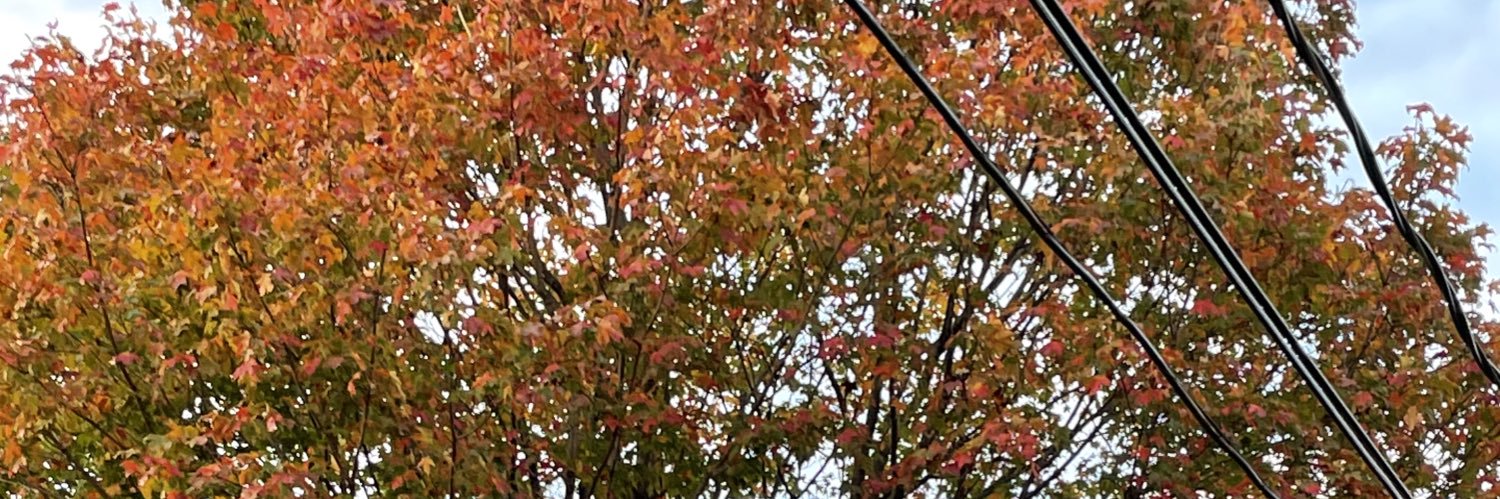 skysthelimit79's profile banner image