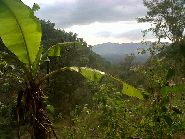 OdangRochman's profile banner image