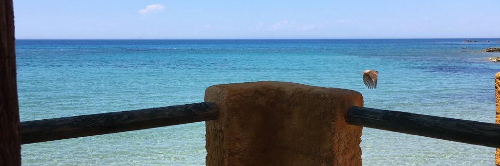 almazidis's profile banner image