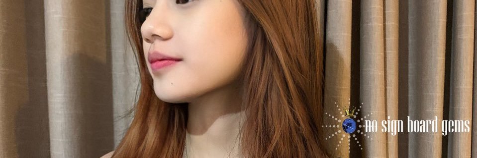 nosignboardgems's profile banner image