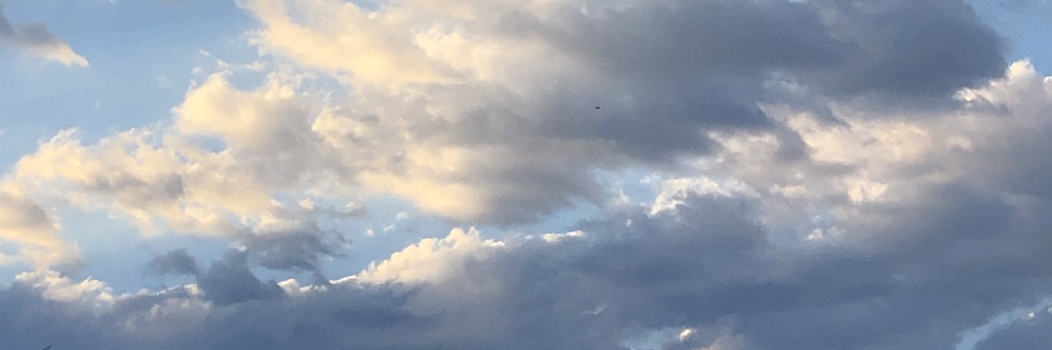 lauraddom's profile banner image