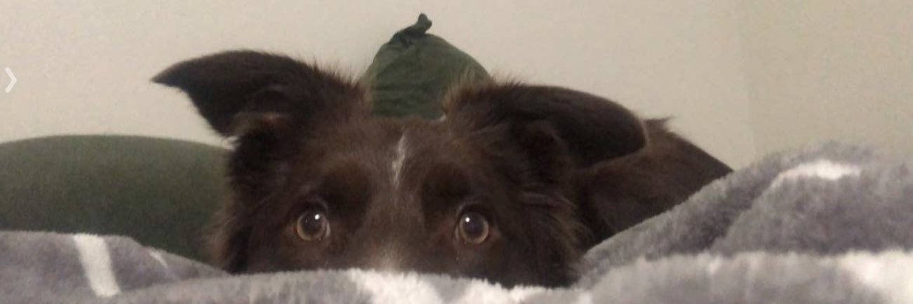 Austin_Shaw2's profile banner image