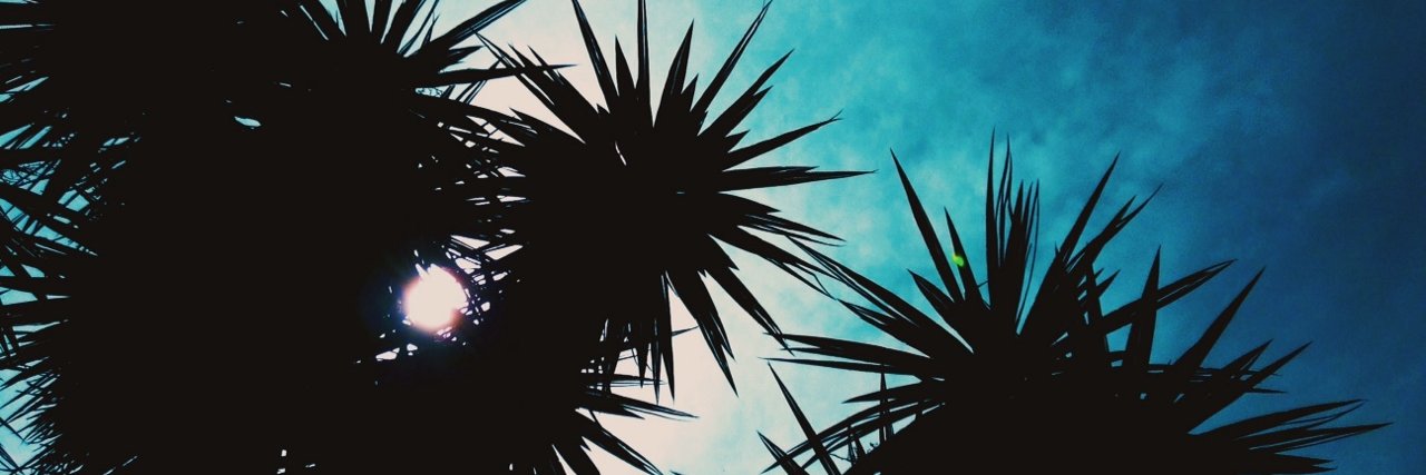 danieldeese's profile banner image