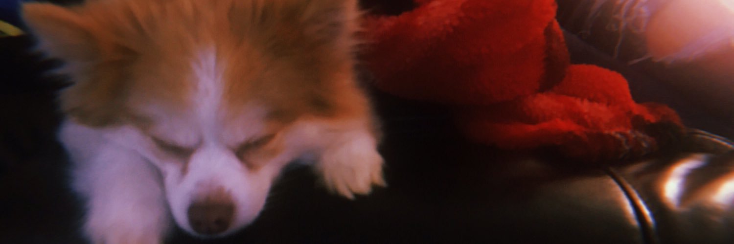 vicHoldenn's profile banner image
