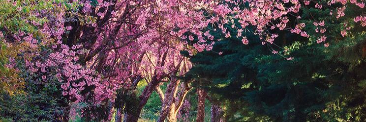 addiemia2's profile banner image
