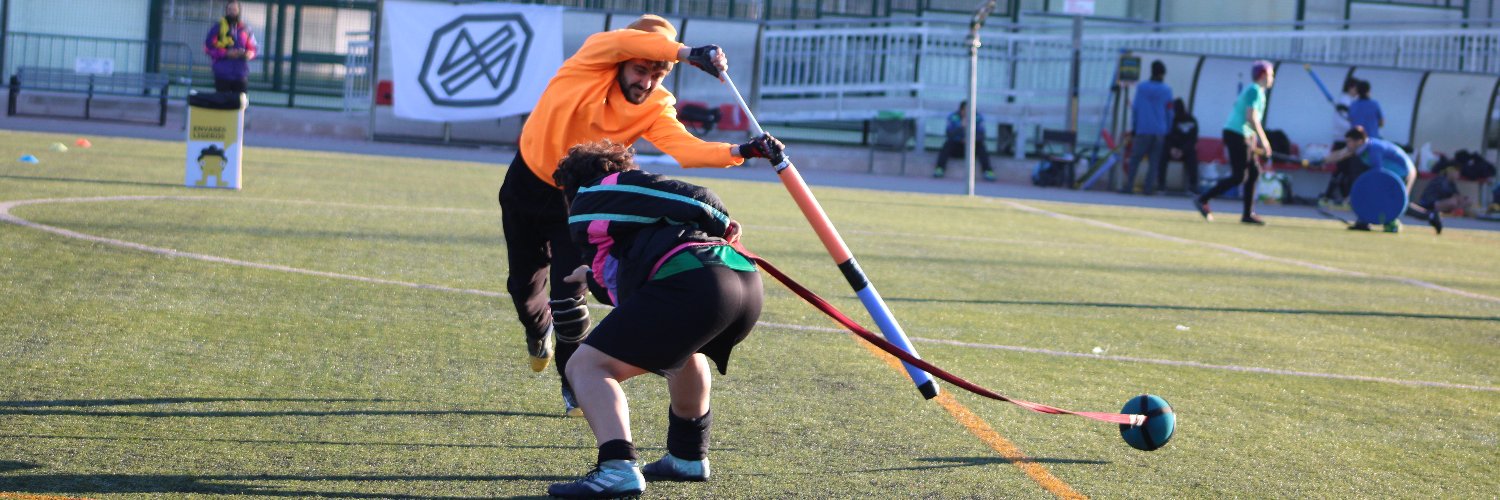 furiousilicitan's profile banner image