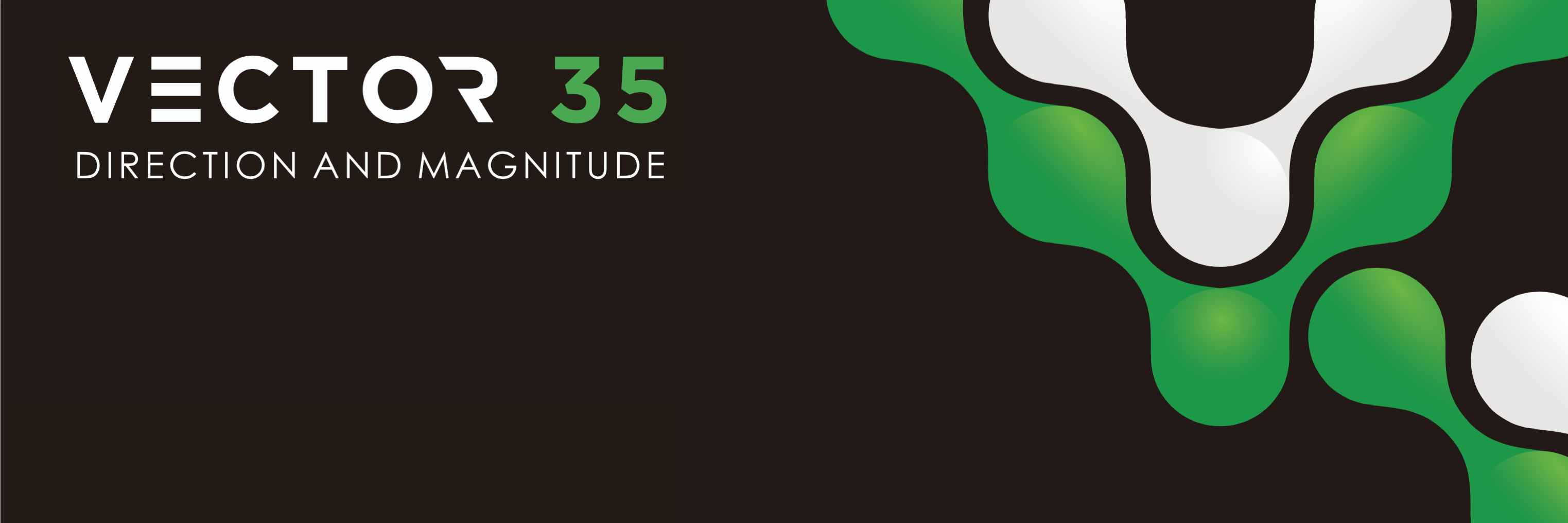 Vector 35's banner