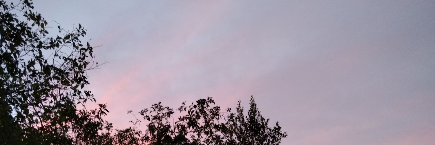 raquiwatermelon's profile banner image