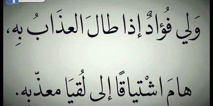 ali9mona's profile banner image