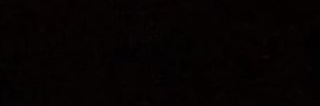 Carmen banner