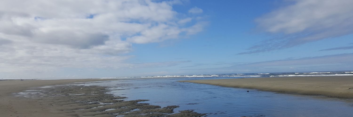 LaurieNabb's profile banner image
