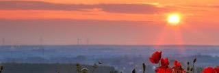 MissSwe51962456's profile banner image