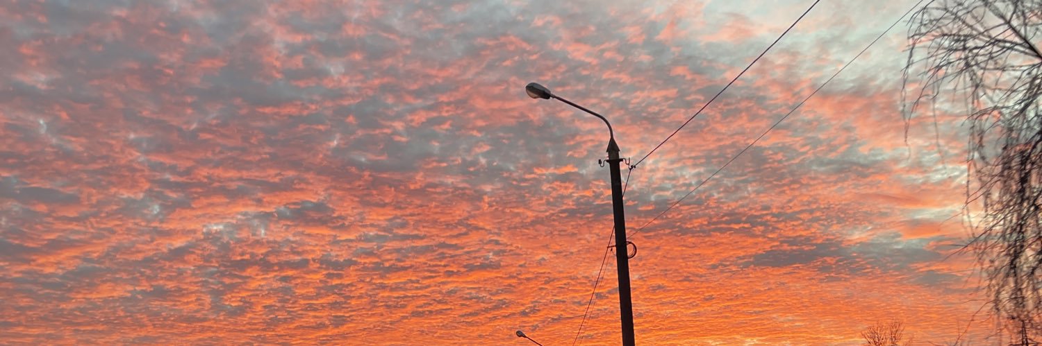 NataliLev1975's profile banner image