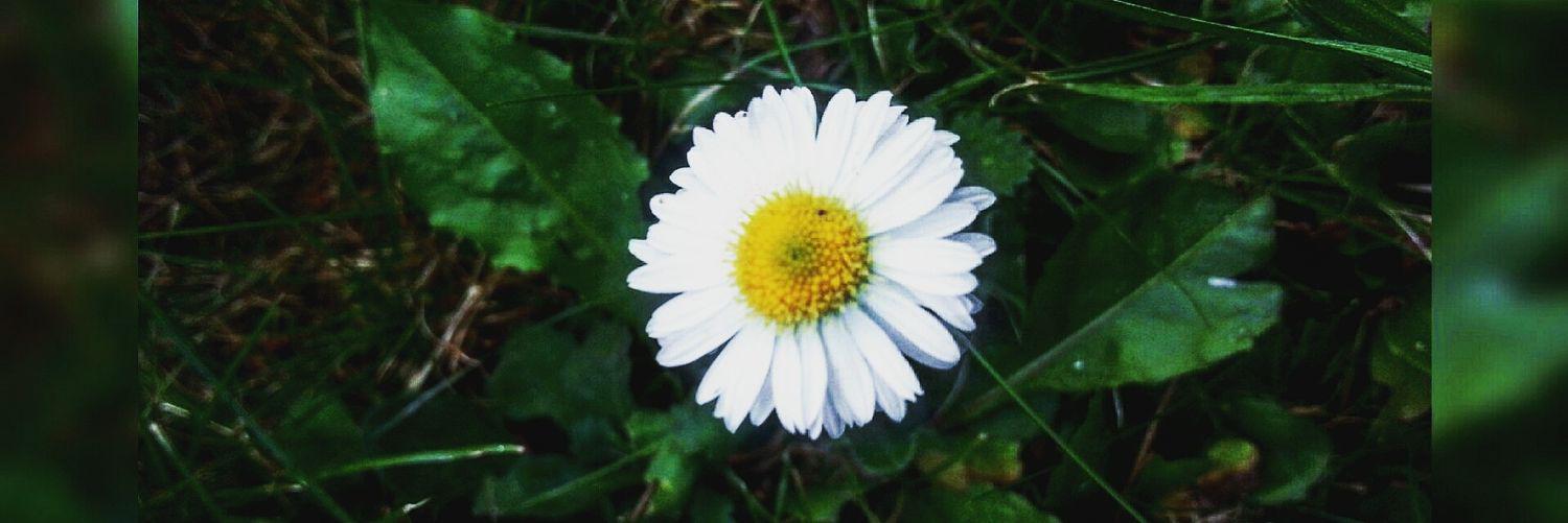 viviloveanni's profile banner image