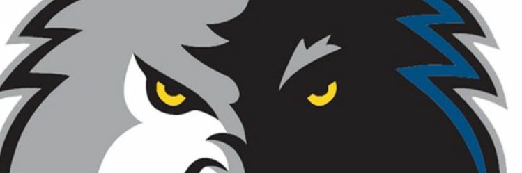 SeaWolves Football banner