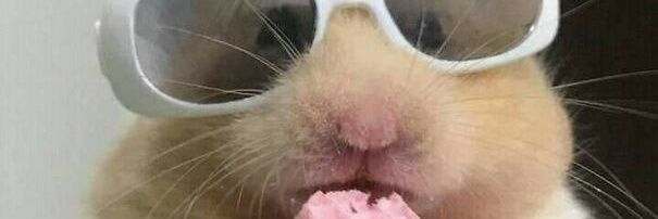 seerenn's profile banner image