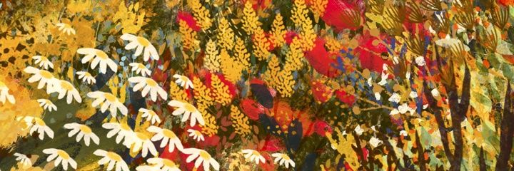 warlacharla's profile banner image