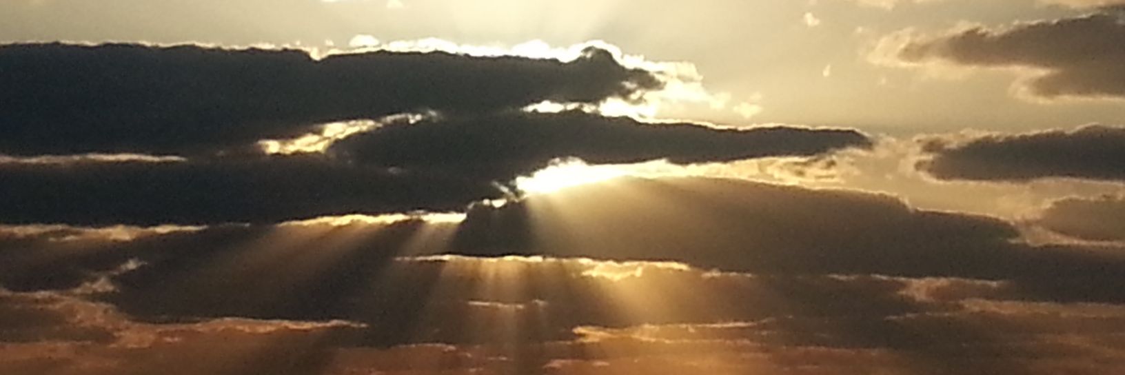 ali60657's profile banner image
