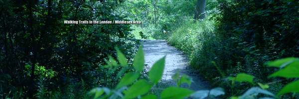 RTOERODistrict8 Profile Banner
