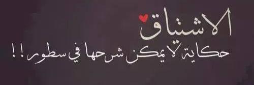 AliQasem19's profile banner image