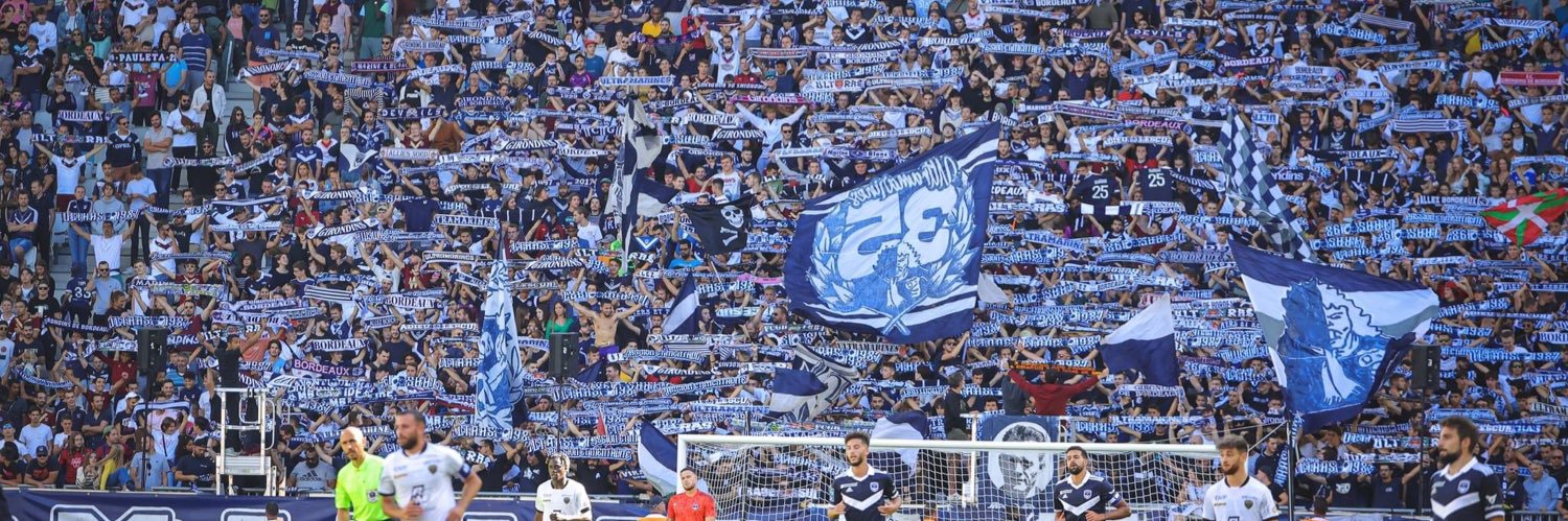Lem banner