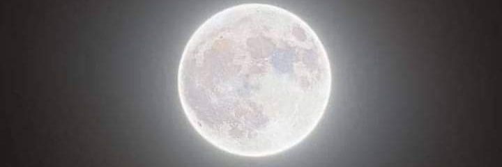 Rextav's profile banner image