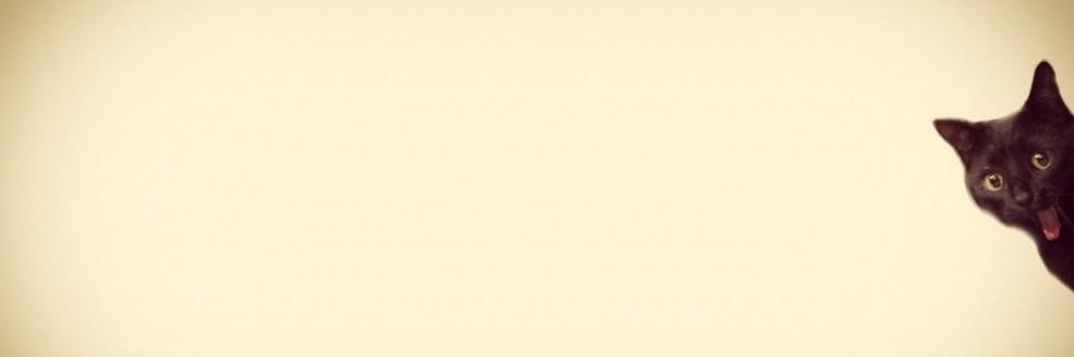 nyaropage's profile banner image