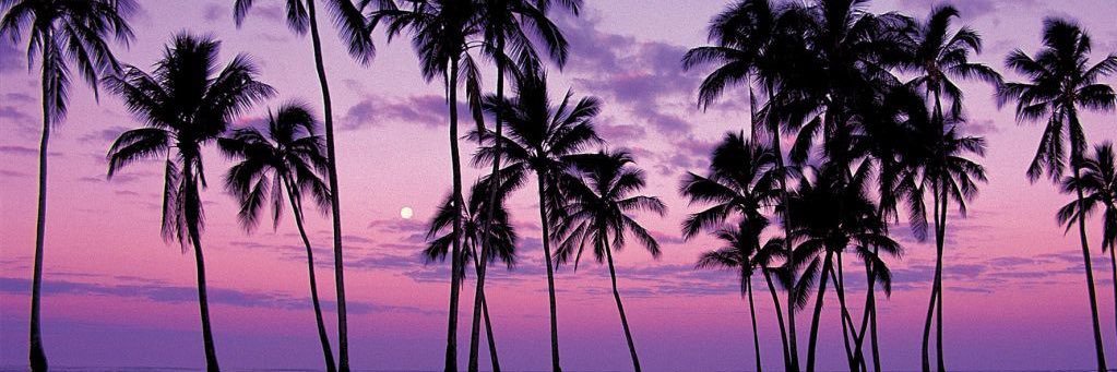 maida4277's profile banner image