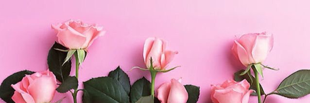 hazzbieb's profile banner image
