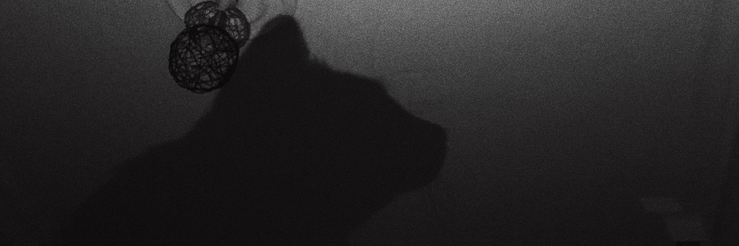 yesiiimb's profile banner image