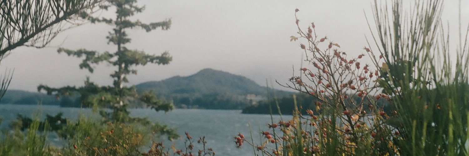 finibosque's profile banner image