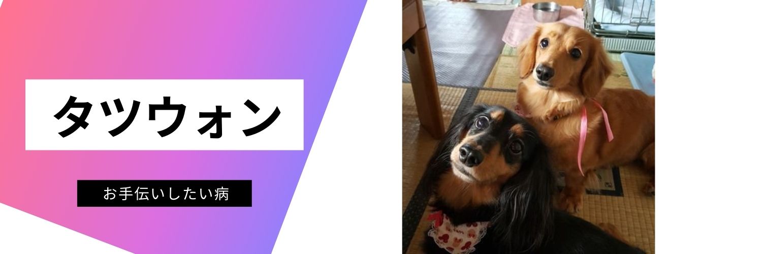 tatsuwon_n's profile banner image