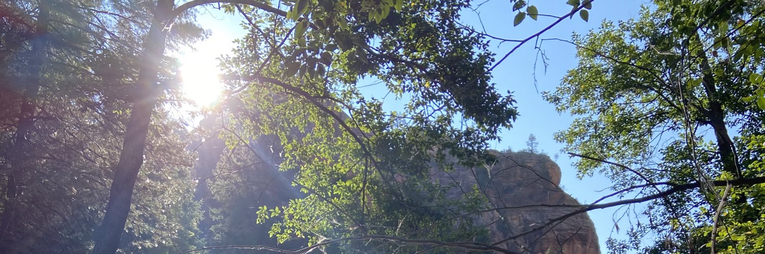 ashleymsharpe's profile banner image
