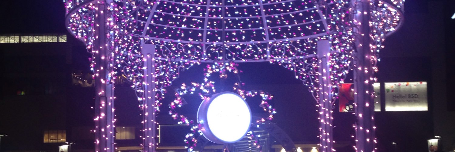 DevicaChandra's profile banner image