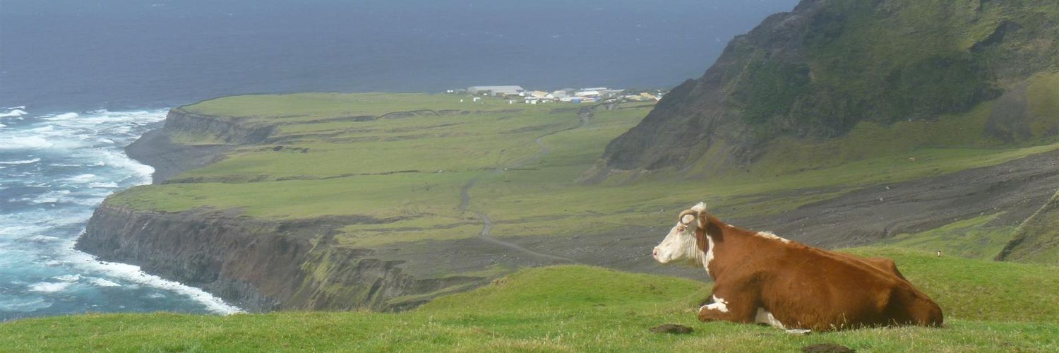 pacodebou's profile banner image