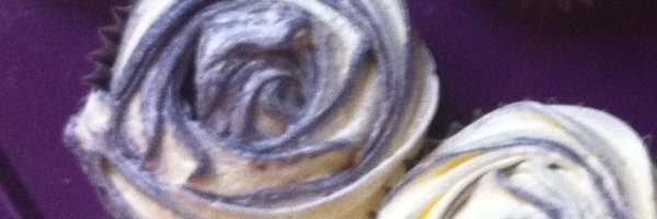 bevfraser2 Profile Banner
