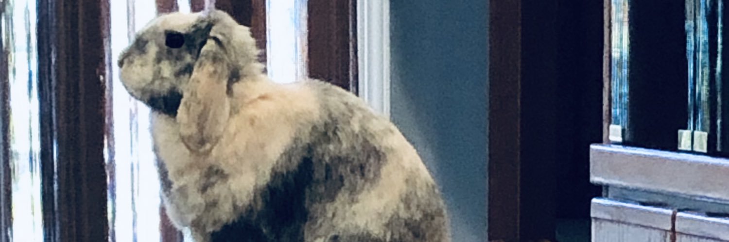 apinzone12's profile banner image