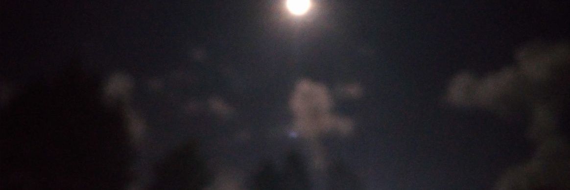 ohh_janaina's profile banner image