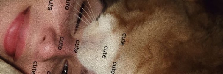 remylorine's profile banner image
