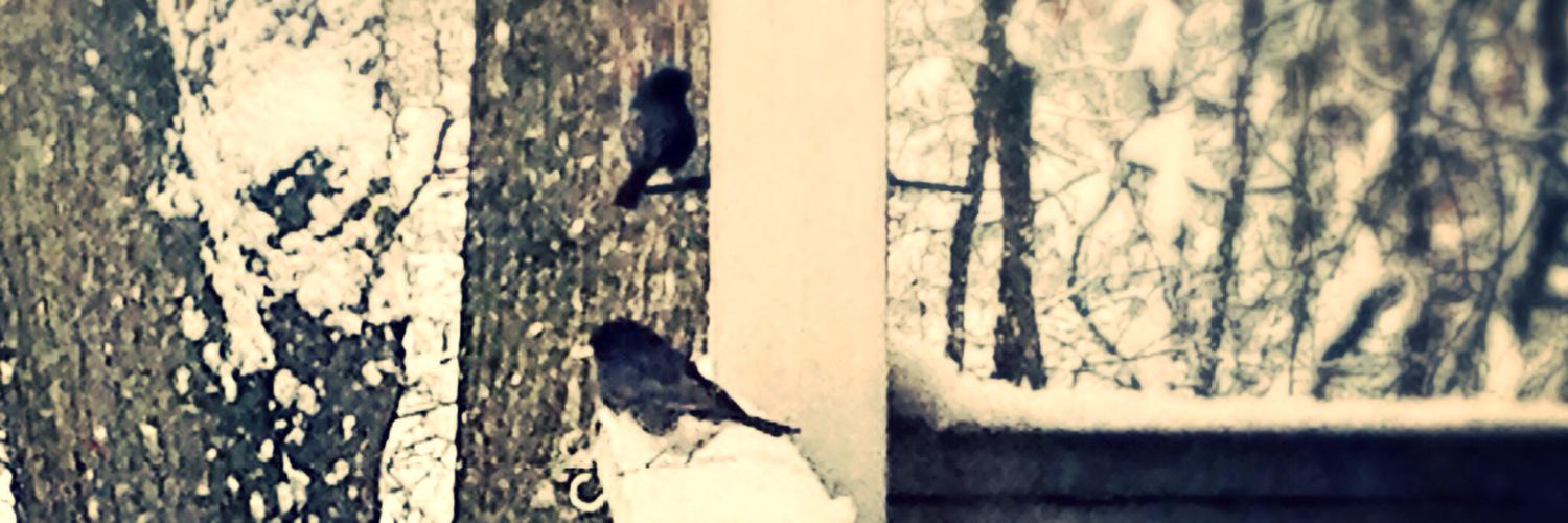 maiya_yu's profile banner image