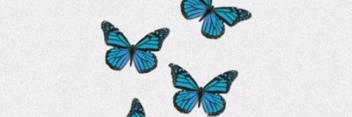 _astefany's profile banner image